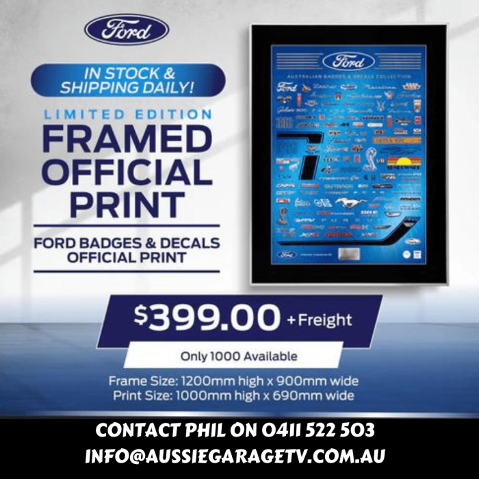 Framed Official Print - Ford Badges & Decals Official print