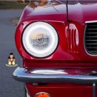 Restomod 7 inch LED Headlight in Car